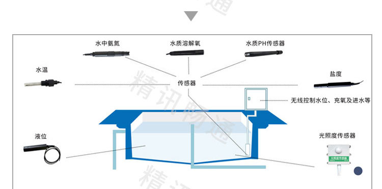 水质监测